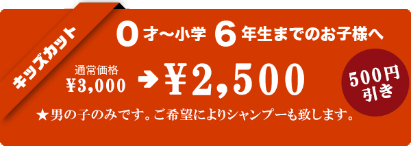 キッズカット